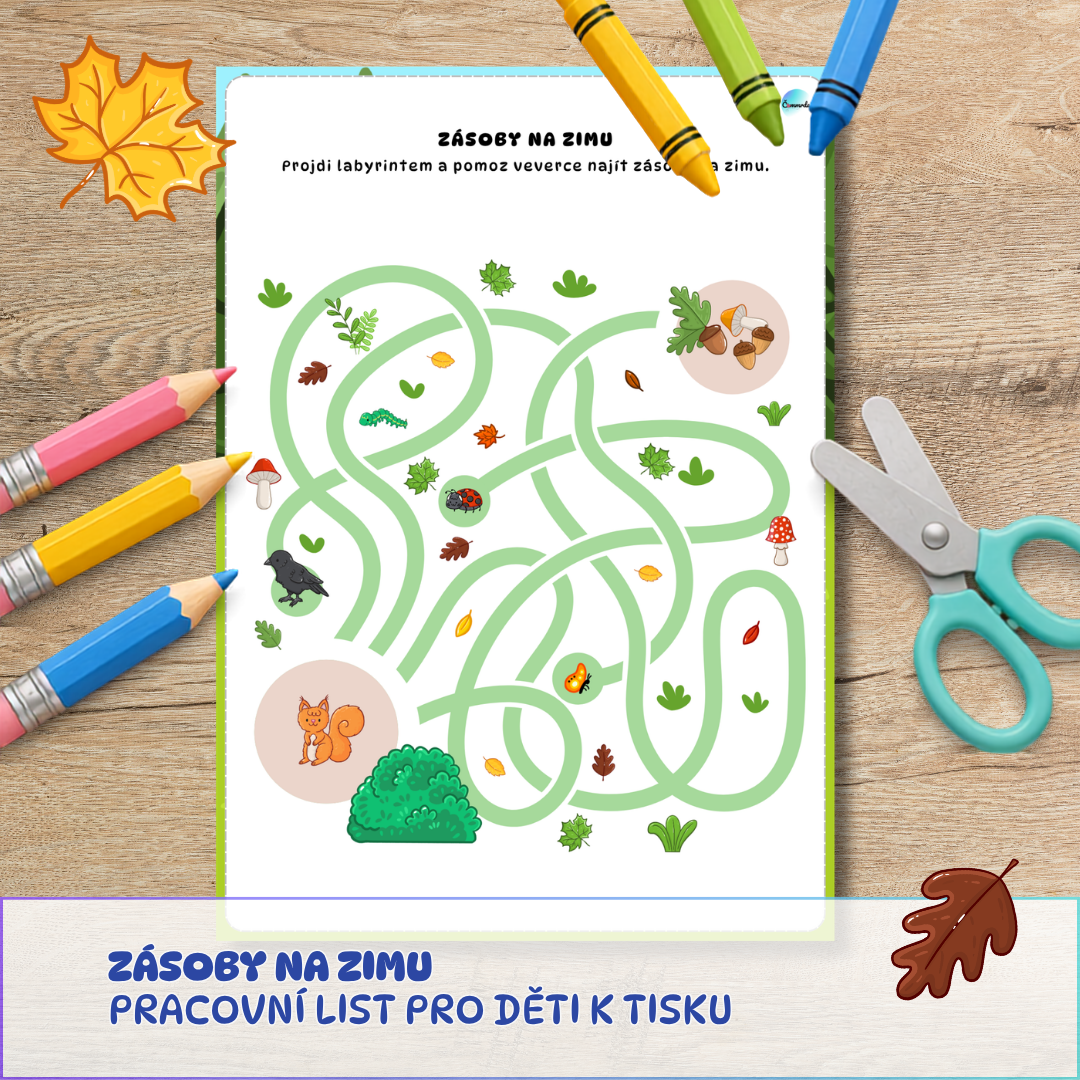 labyrint pro děti, pracovní list, podzimní zásoby pro veverku