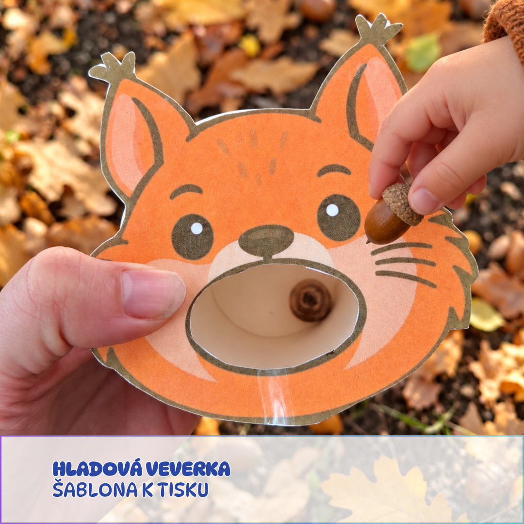 Krmící hlava, hladová veverka, šablona ke stažení, podzimní procházka