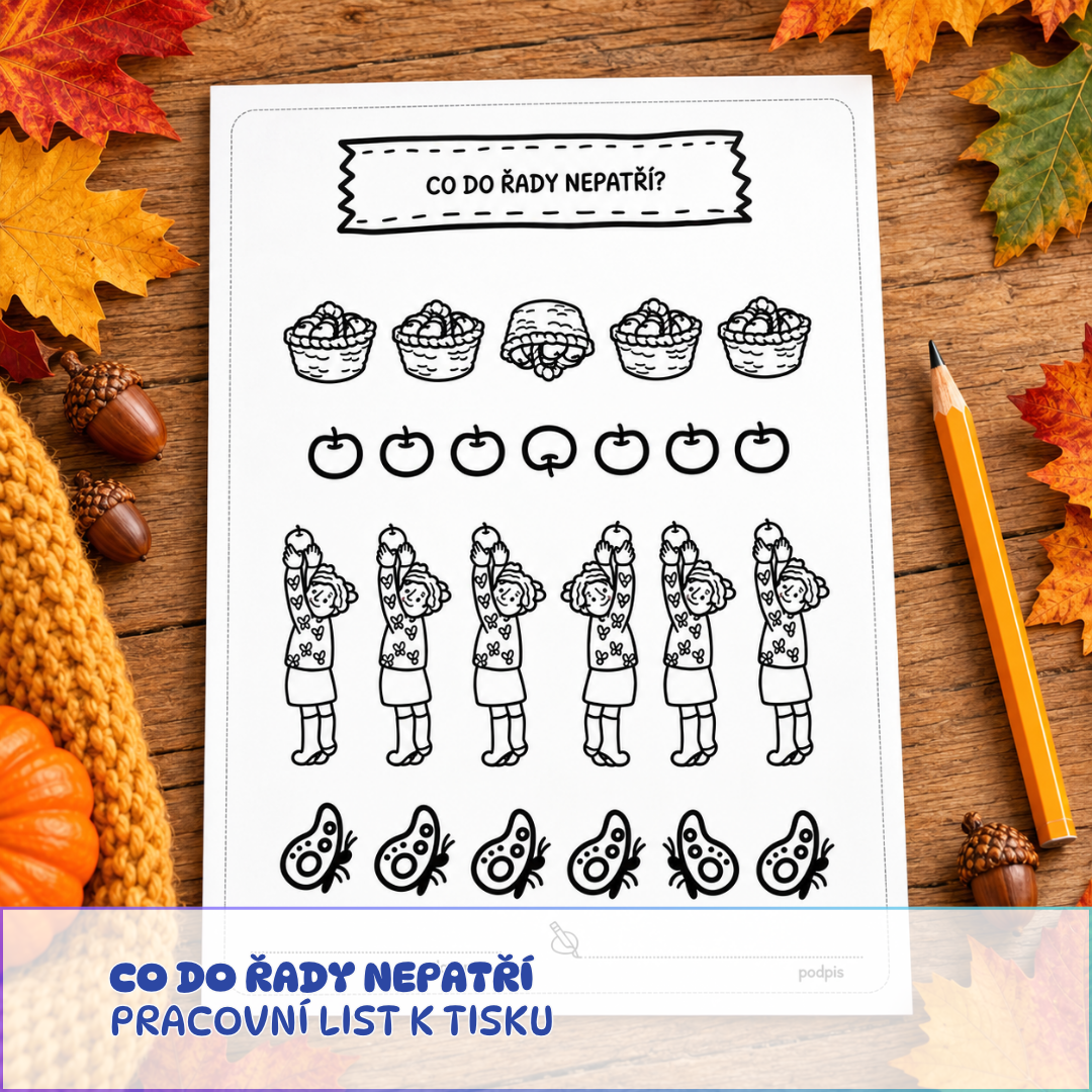 Co do řady nepatří - pracovní list podzim