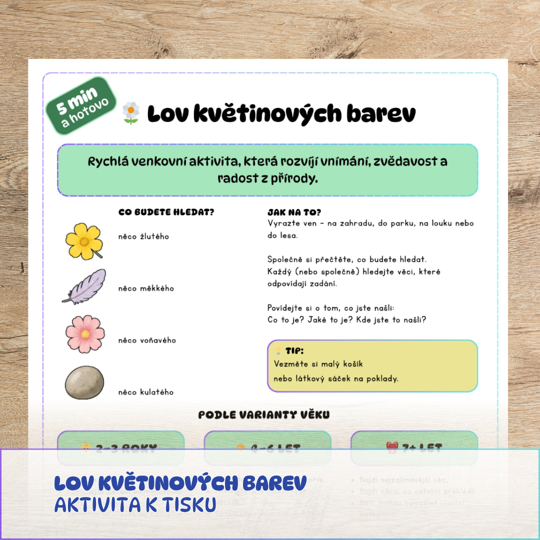 Pracovní list - barvy květin