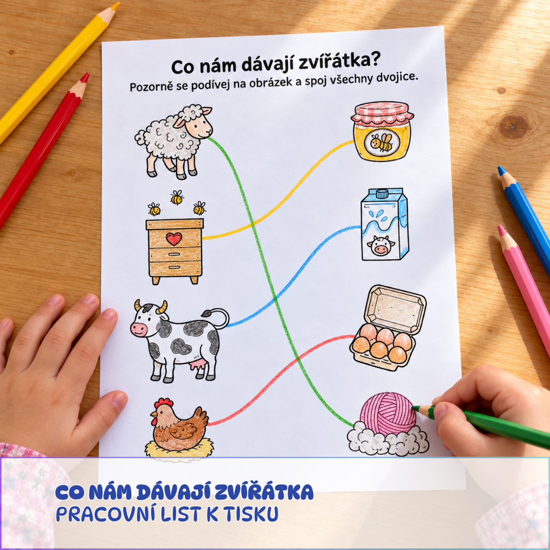Co nám dávají zvířátka - pracovní list