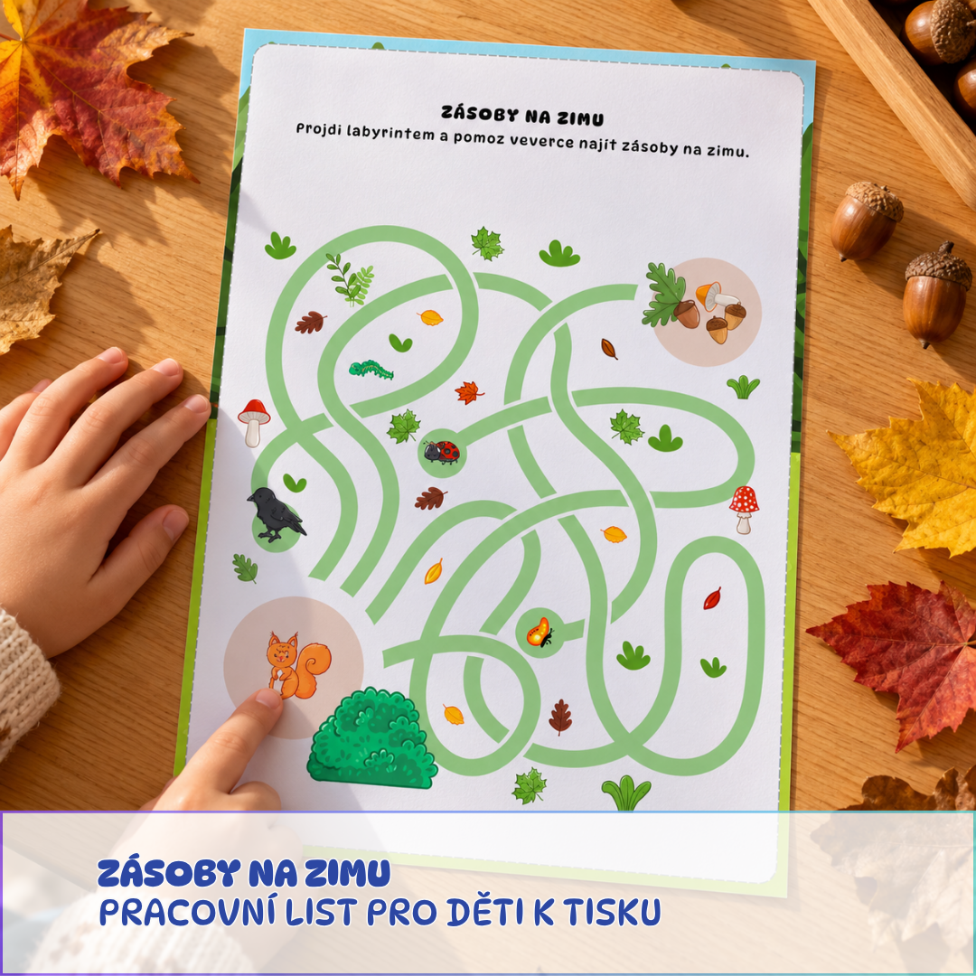 labyrint pro děti, pracovní list, podzimní zásoby pro veverku